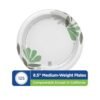 Dixie FBA_DXEUX9WSPK UX9WSPK, Table Ware Plates, Heavy Weight, 8-1/2, 125/PK, Pathways/White, 125